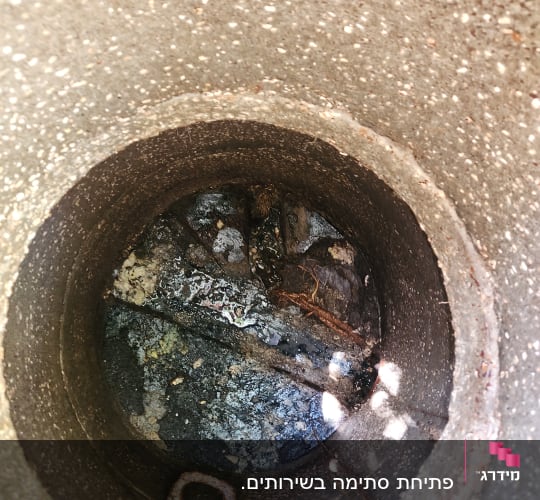 פתח ביוב עם צינור חלוד ומים עומדים